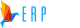 Logo Erprise Ltd.